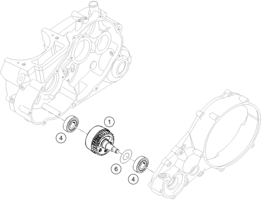 Sprängskiss: Balancer Shaft – KTM 660 RALLYE COSTUMER 2004