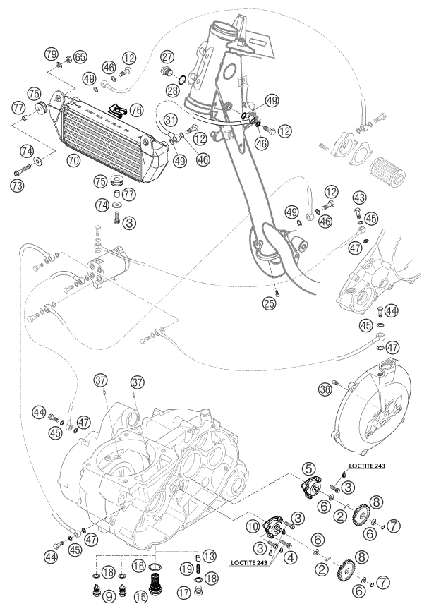Sprängskiss: Lubricating System – KTM 660 RALLYE FACTORY REPL. 2003