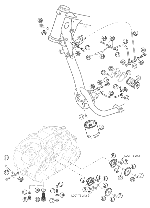 Sprängskiss: Lubricating System – KTM 625 SMC 2005
