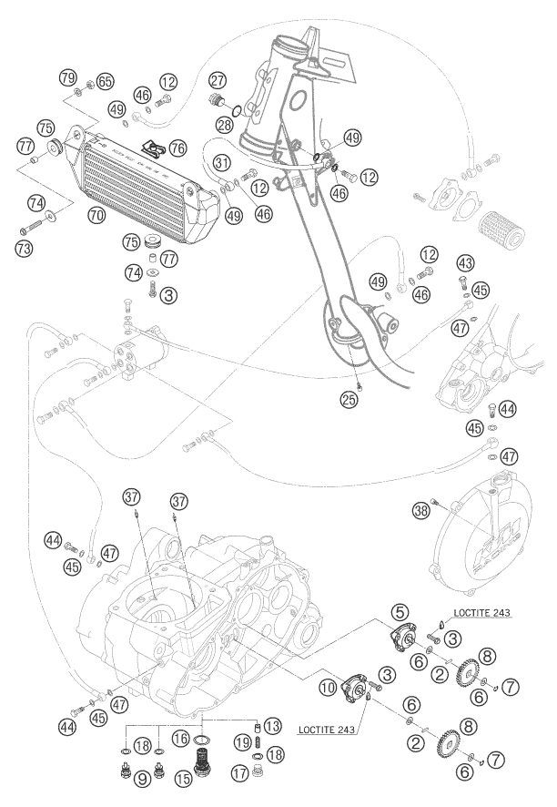 Sprängskiss: Lubricating System – KTM 660 RALLY FACTORY REPLICA 2007