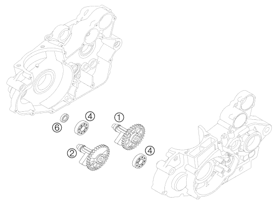 Sprängskiss: Balancer Shaft – KTM 525 SX SUPERMOTO 2005