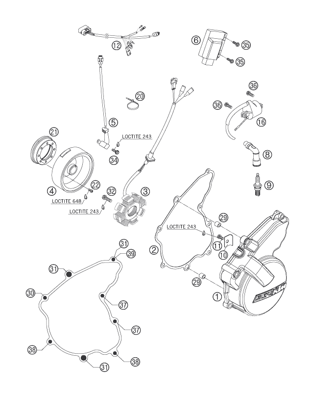 Sprängskiss: Ignition System – KTM 250 EXC-F 2007