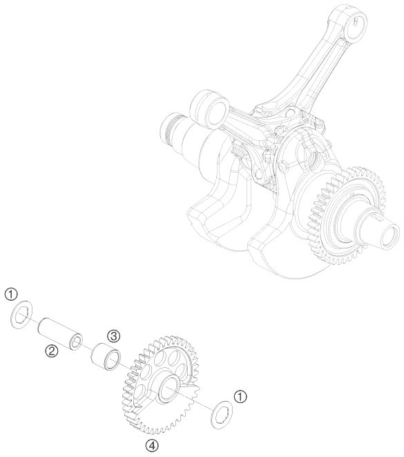 Sprängskiss: Balancer Shaft – KTM 1190 RC 8 BLACK 2009