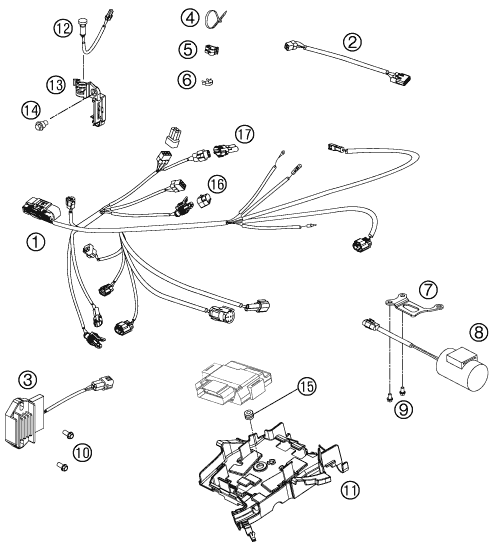 Sprängskiss: Wiring Harness – KTM 250 SX-F MUSQUIN REPLICA 11