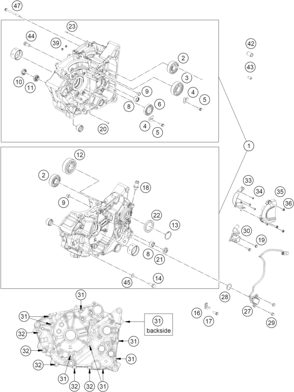 Sprängskiss: Engine Case – KTM 250 DUKE, silver - B.D. 2026