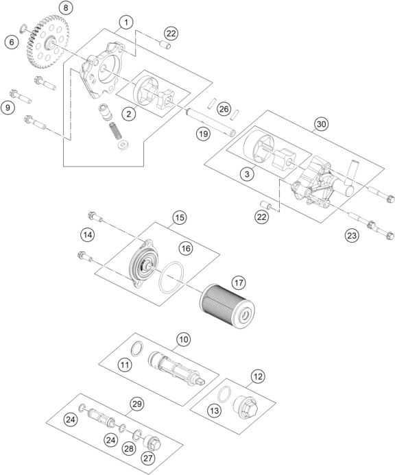 Sprängskiss: Lubricating System – KTM 250 DUKE, silver - B.D. 2026