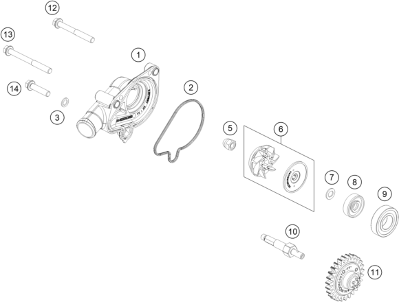 Sprängskiss: Water Pump – KTM 150 XC-W 2026