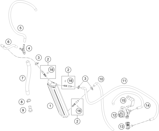 Sprängskiss: Evaporative Canister – KTM 300 EXC 2026